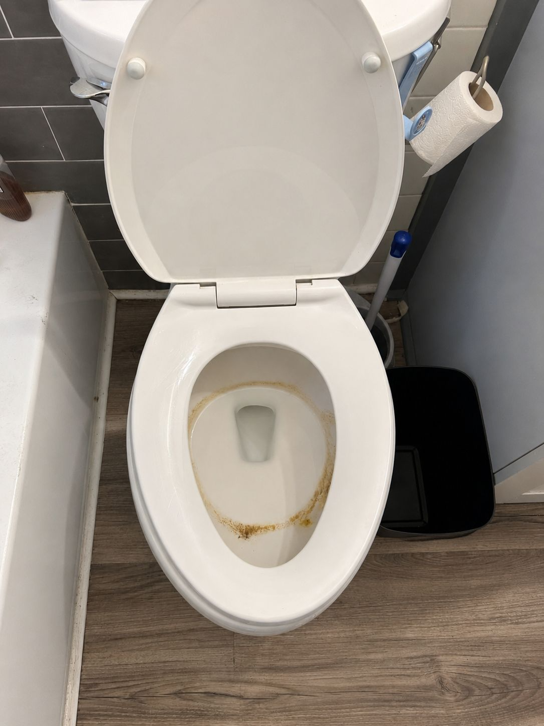 Toilet before detailed bathroom cleaning